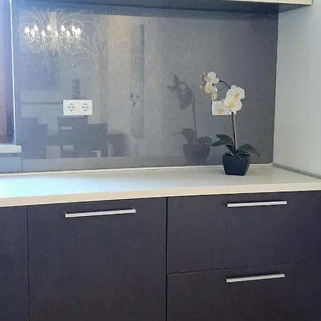 Apartment Traumferienwohnung: Meerblick-apartment Mit Privatpool In Istrien Liznjan